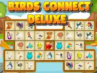 Birds Connect Deluxe background