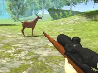 Deer Hunter 3D background