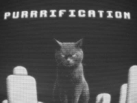 Purrrification background