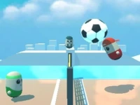 Pin Voleyballs background