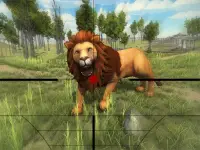 Lion Hunting 3D background