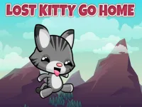 Lost Kitty Go Home background