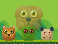 Animal Match Master background