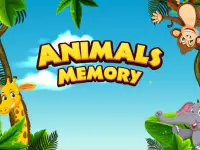 Super Animal Memory background