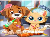 Puppy Pet Vet Care background