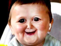 Funny Hasbulla Face background