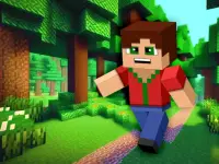 Minicraft Insane background