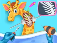 My Pet Vet Hospital background
