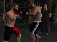 Undisputed MMA background