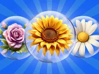 Dice Puzzle Flowers! background