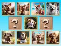 Doggie Duo Discoveries background
