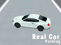 Real Car Parking 3D background