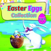Collection