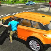 Simulation